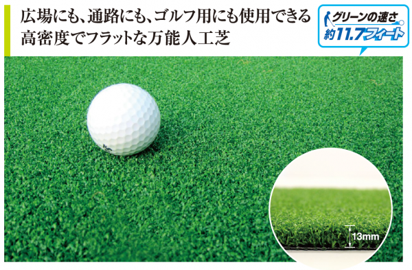 カールタイプ（パターの練習にも）