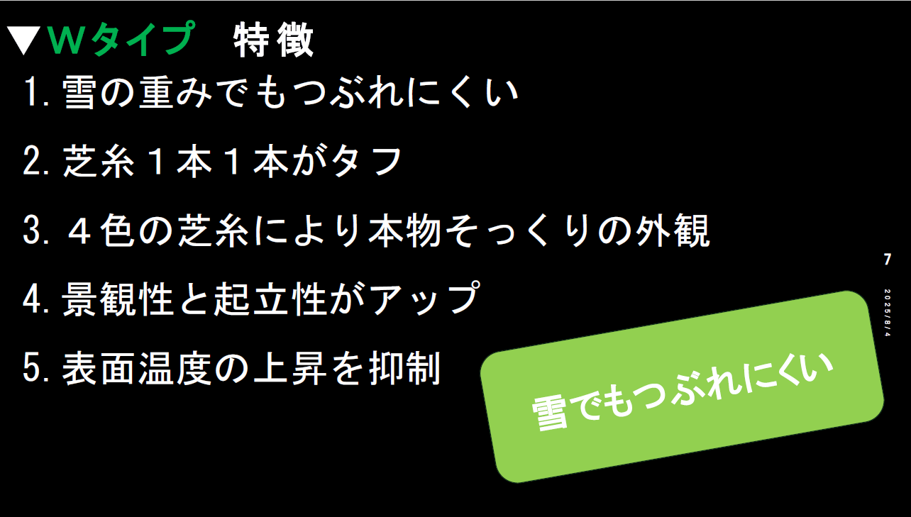 Ｗタイプ（雪の重みでもつぶれにくい）(2)