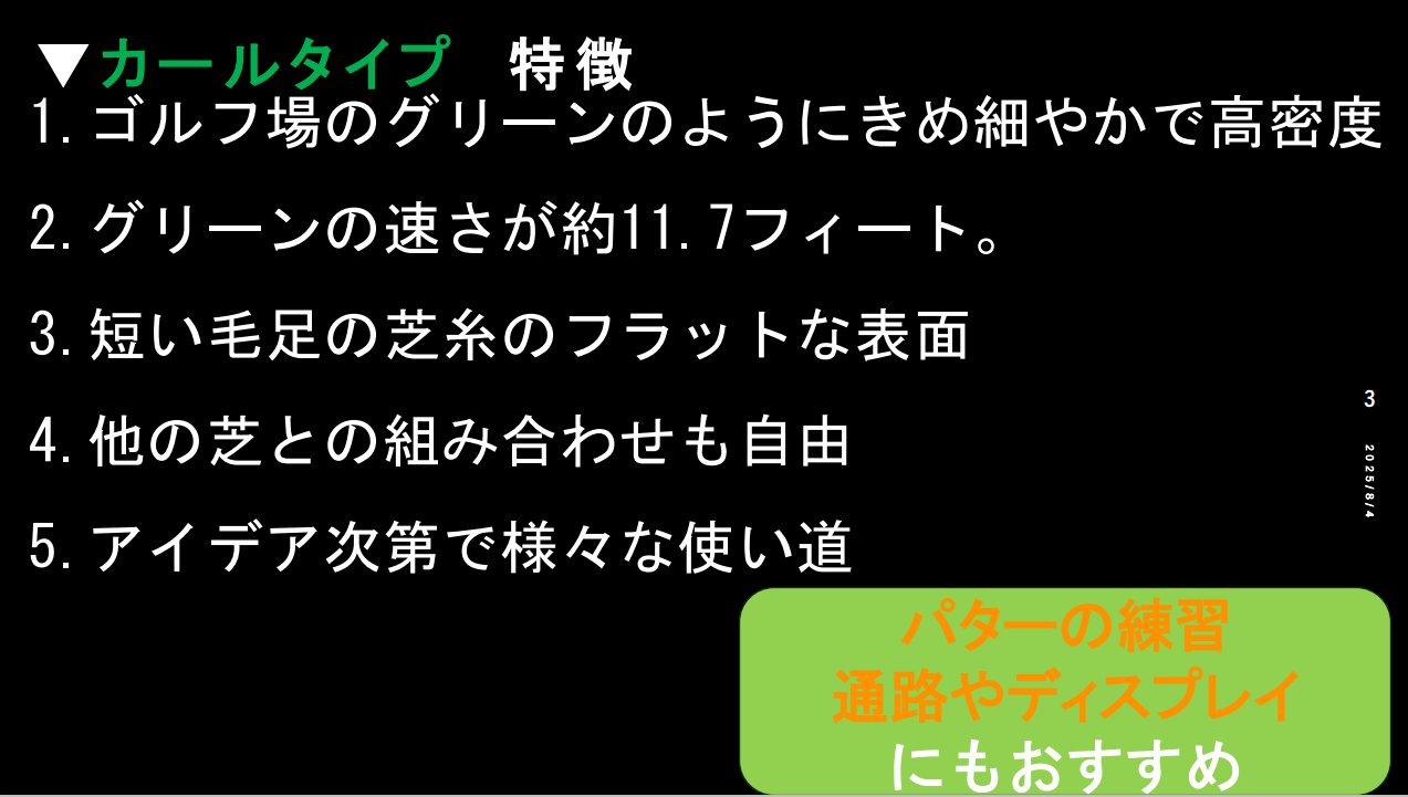カールタイプ（パターの練習にも）(2)