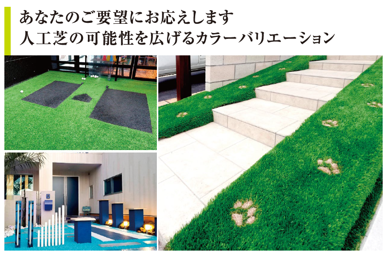 カラータイプ（全８色のバリエーション）(1)