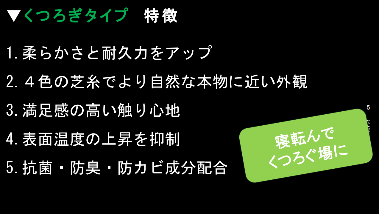 くつろぎタイプ（寝転んでくつろぐ場に）(2)