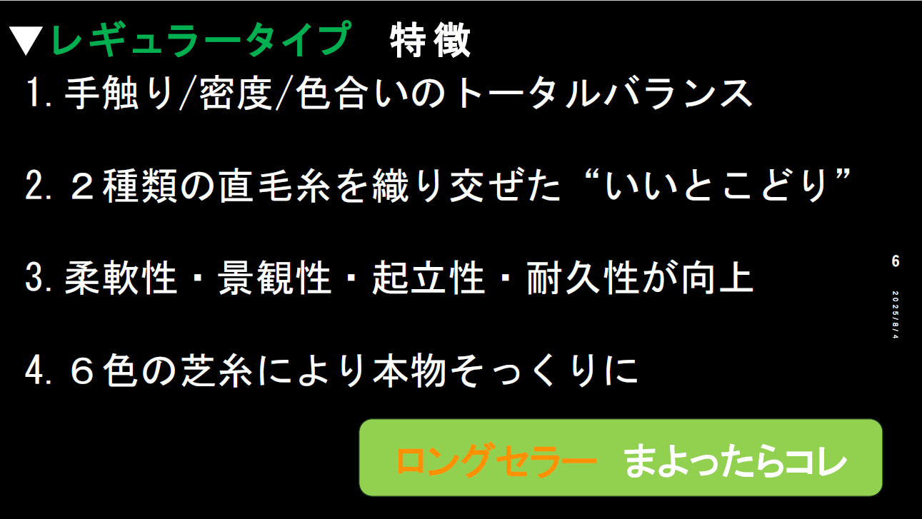 レギュラータイプ（ロングセラーの逸品、まよったらコレ）(2)