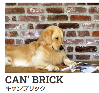 CAN’BRICK