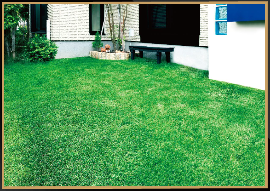 THE TURF（最高峰人工芝）(2)