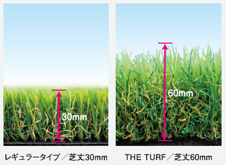 THE TURF（最高峰人工芝）(6)