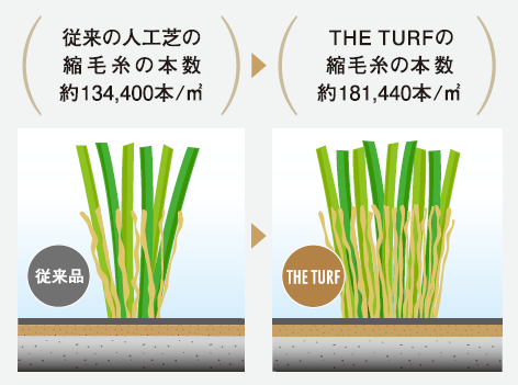 THE TURF（最高峰人工芝）(8)
