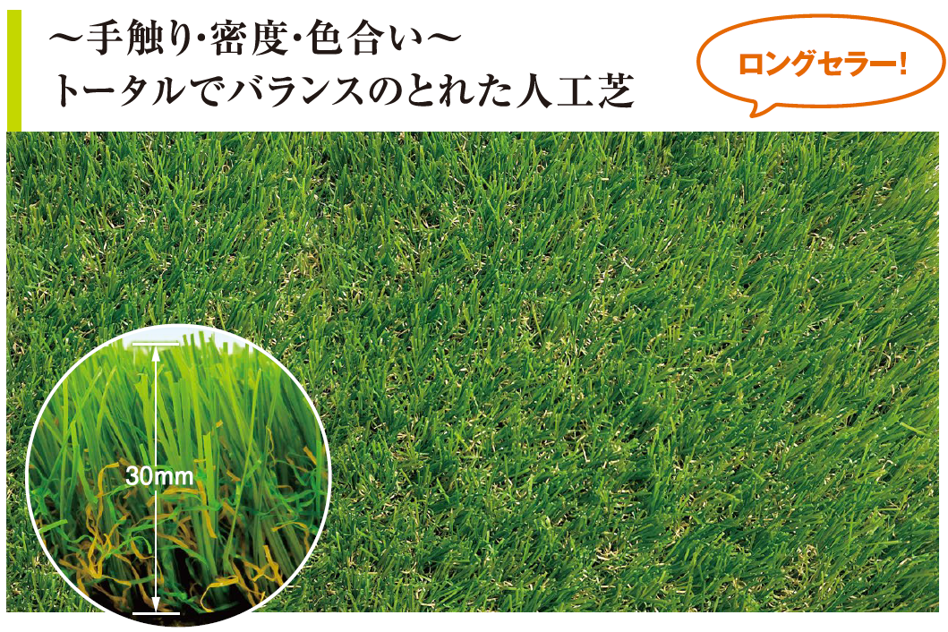 レギュラータイプ（ロングセラーの逸品、まよったらコレ）(1)
